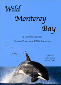 Book_cover