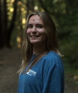 hazel3